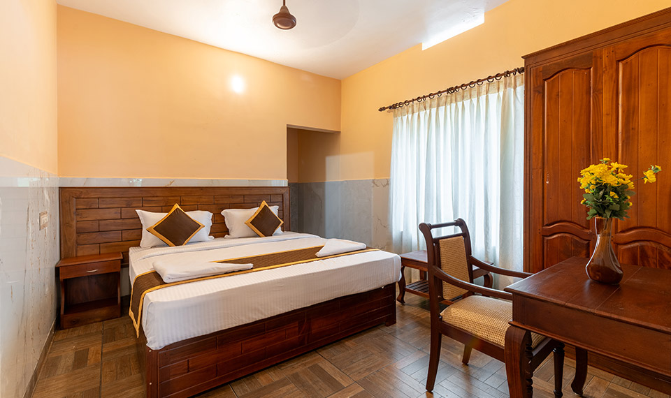 Stay in Munnar